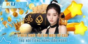 Mẹo chơi Tài Xỉu MD5
